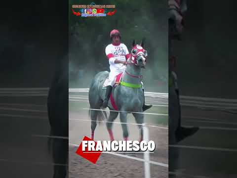 Gran Clasico Central para el domingo 5 de abril en Santa Ana Ctes.!! #caballos #quarterhorse