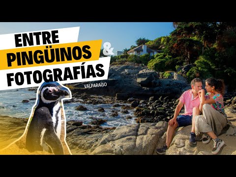 Isla Pingüinos en Cachagua - Zapallar,   Región de Valparaíso