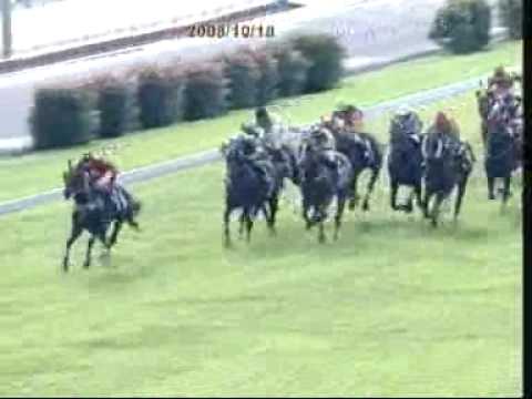 Kings Cross 2nd Race  on the 18th Sept 2008