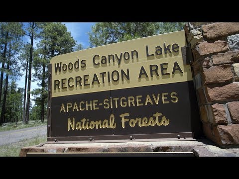 A visit to Heber-Overgaard - YouTube