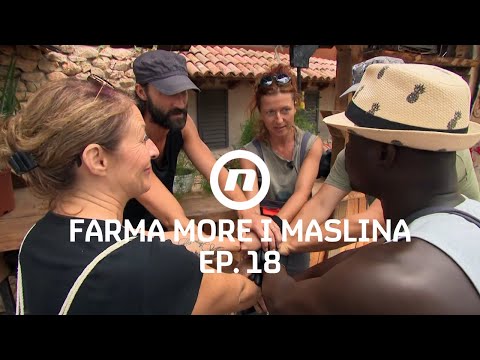 Gazdinska posla - Epizoda 18 | Farma More i Maslina