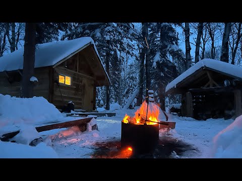 Brutal COLD! HUGE amount of snow! ALONE in the Canadian BUSH!