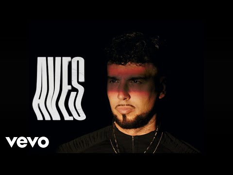 Dante Spinetta - Aves (Official Video)