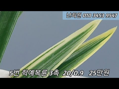 유튜브 썸네일