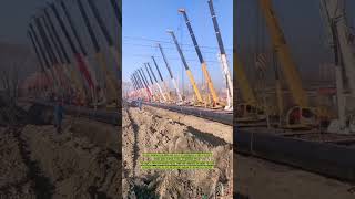 Unified Lifting: The Synchronized Effort of Multiple Cranes