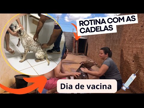 Rotina com as cadelas 🐕🐩 dia de tomar vacina 💉