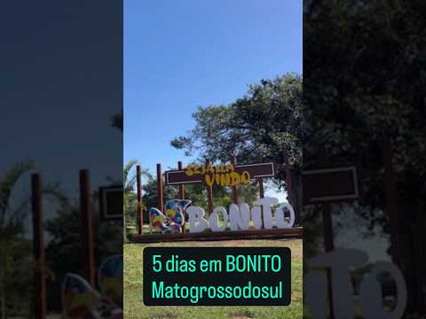 Da para fazer bonito em 5 dias?#bonito #matogrossodosul #brasil