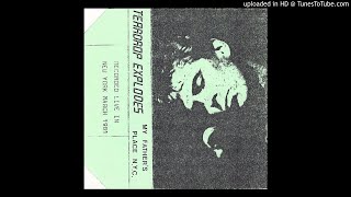 The Teardrop Explodes - Treason (live)