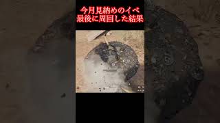 今月で終わるイベントで、デカい赤品が出ました。【デルタフォース】