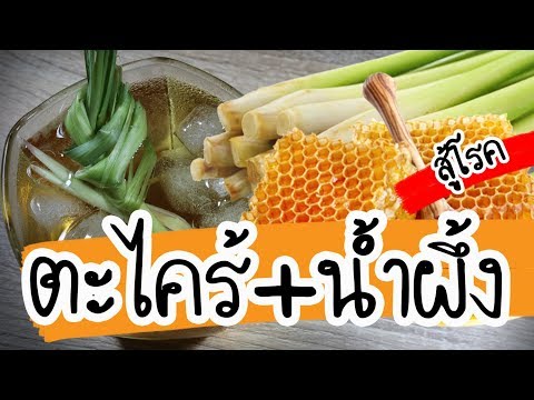 ค้นหาสื่อลามกกับสมาชิกหนุ่มสาว สัญญาณของความอ่อนแอในรอบ 20 ปี