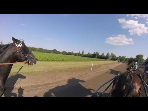 XII.Petrovdanska trka II.kvalifikacija Srbobran 2016.07.10