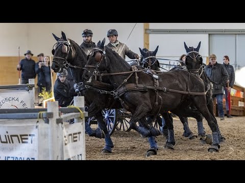 Čtyřpřeží (2. kolo), Zimní jezdecký pohár 2022, Slatiňany 12. 2. 2022