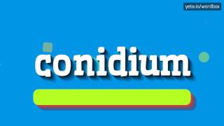 CONIDIUM - HOW TO PRONOUNCE IT!?