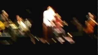 Die Toten Hosen - Rock Me Amadeus @ Burgtheater Wien (unplugged) 21.6.2012