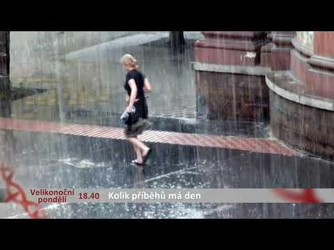 Náhled pro video reference