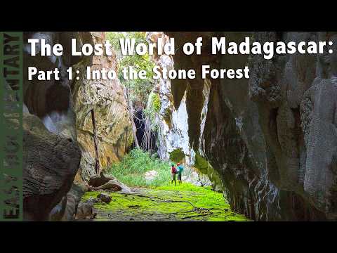 The Lost World of Madagascar - Part 1: Into the Stone Forest - Full Nature Documentary