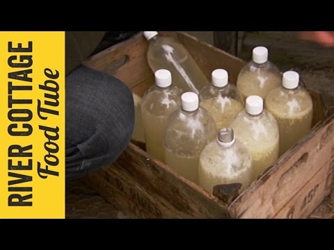 Homebrew Ginger Beer | Steve & John