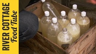 Homebrew Ginger Beer | Steve & John