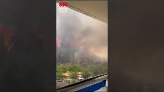 Երուսաղեմում խոշոր անտառային հրդեհ է բռնկվել