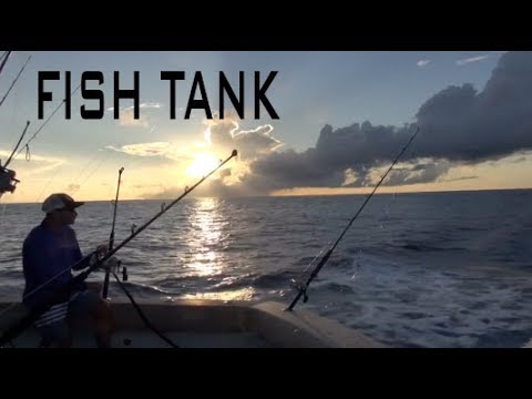 COSTA RICA FAD FISHING | Billfish TV 072