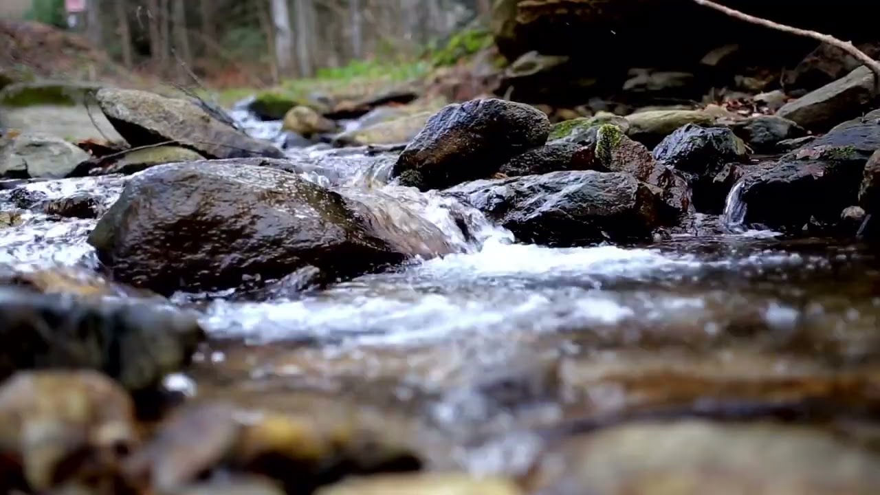 🧘🏻‍♀️Meditação “Jardim da Alma”: Regar a Criança Interior com Amor e Presença