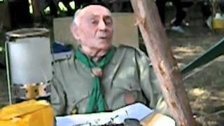 LUPO_GRIGIO_PASSIGNANO_ 09.mp4