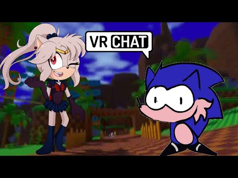 AN ADORABLE BOOTLEG?? Sailor Peace Meets Hog at Green Hill Zone (feat. ???) - VRChat