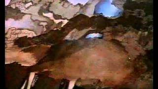 Tutto troverai da Happy Betty!