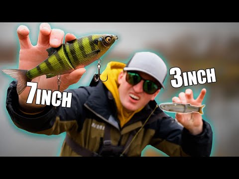 Big vs. Small Swimbaits For Bass! (GIANT CAUGHT!)