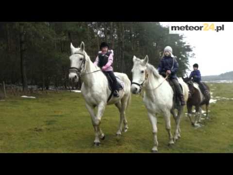 Agroturystyka Kapuśnik - Grzybowo-Kapuśnik meteor24.pl