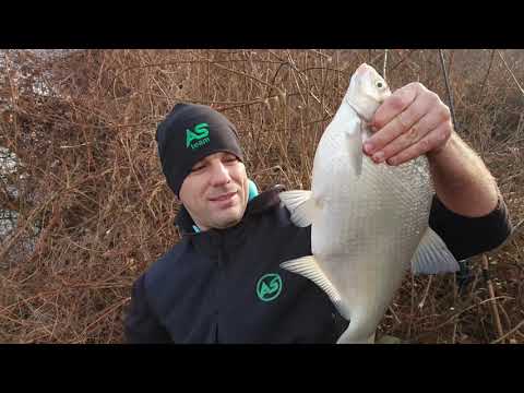 Pecanje  Sarana I Krupne Deverike  - Feeder na divljim vodama