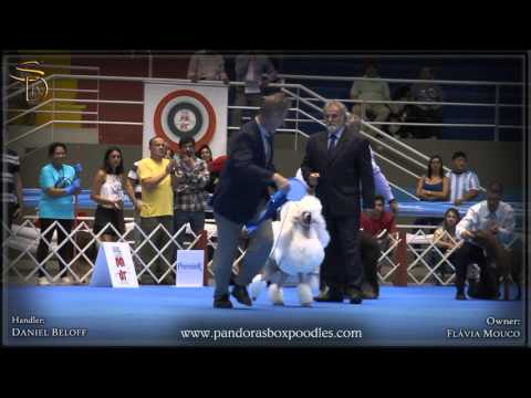 IRENE DA MAYA   #3 BIS   KCSP   Outubro 2015