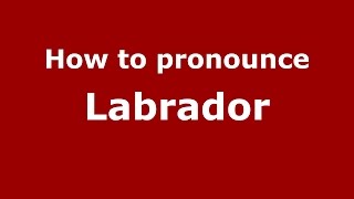 How to pronounce Labrador