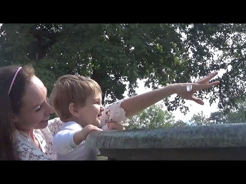 Ade Ned - Zpívající fontána 2020 (video)