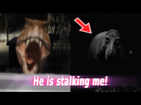 5 DINOSAURS Caught on Camera