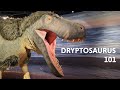 Dryptosaurus 101
