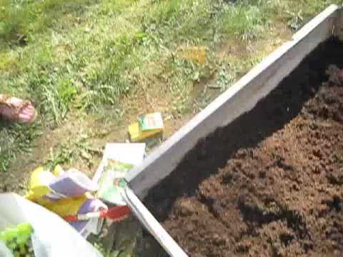 Trädgårdskoas del 2 - Alice i Jordgubbslandet