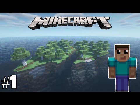 Birch Island! - Minecraft Survival Island Timelapse S7E1