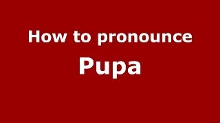 How to pronounce Pupa