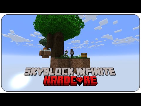 My PERFECT Start to Minecraft Skyblock Infinite Hardcore
