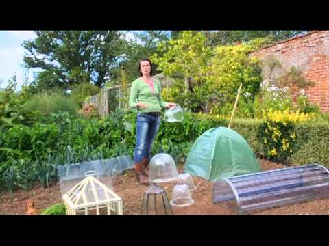 The English Garden Editor's choice - Cloches