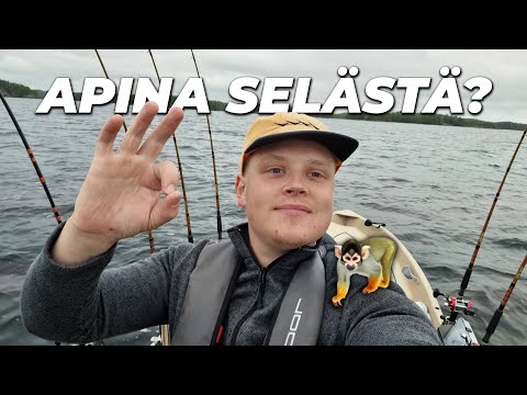 VEJELLÄÄN LOHTA | POIKKEUKSELLISEN LÄMMIN SYKSY | Finnish Fisherman
