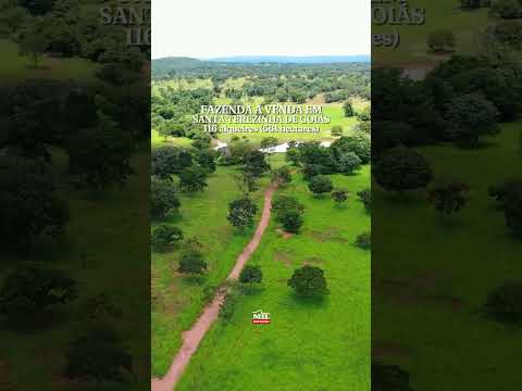 FAZENDA DE LUXO À VENDA – SANTA TEREZINHA DE GOIÁS 561 hectares #fazendaavenda #agro