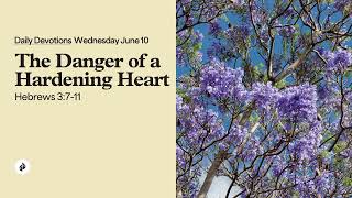 The Danger of a Hardening Heart – Daily Devotional