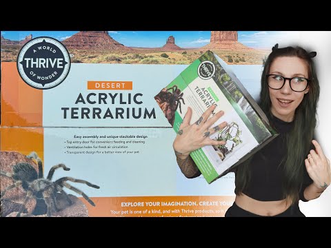 Petsmart Tarantula