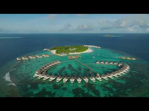 Videos del Baglioni Resort Maldives 5★ en Dhaalu Atoll, MaldivasVer MásVerPrecios16CerrarConsulta por Whatsapp 🇦🇷BookingTripadvisorExpediaAgodaTravelocityOrbitzTripSkyscannerDespegarKayakHotelesDestiniaTrivagoLastminuteTuiWotif