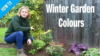 How To Add Colour To Your Winter Garden
