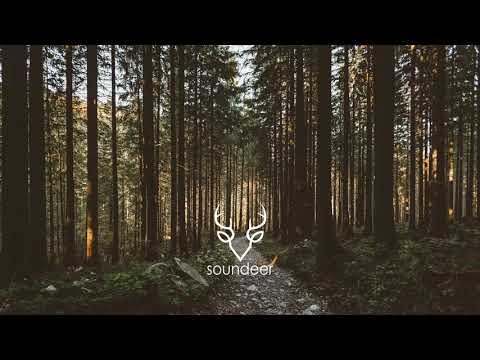 Delusion ft. Monna - Fight For Love (Martin Lu Remix)