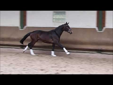 Wallach v. Foundation x San Amour