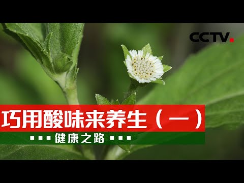 五行草功效